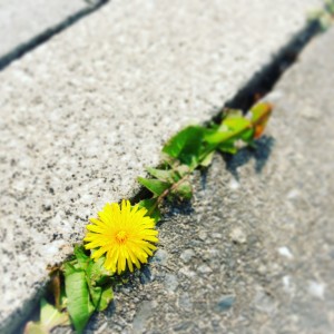 49A499FB-7B13-4A95-B20C-86B8217E0AF5